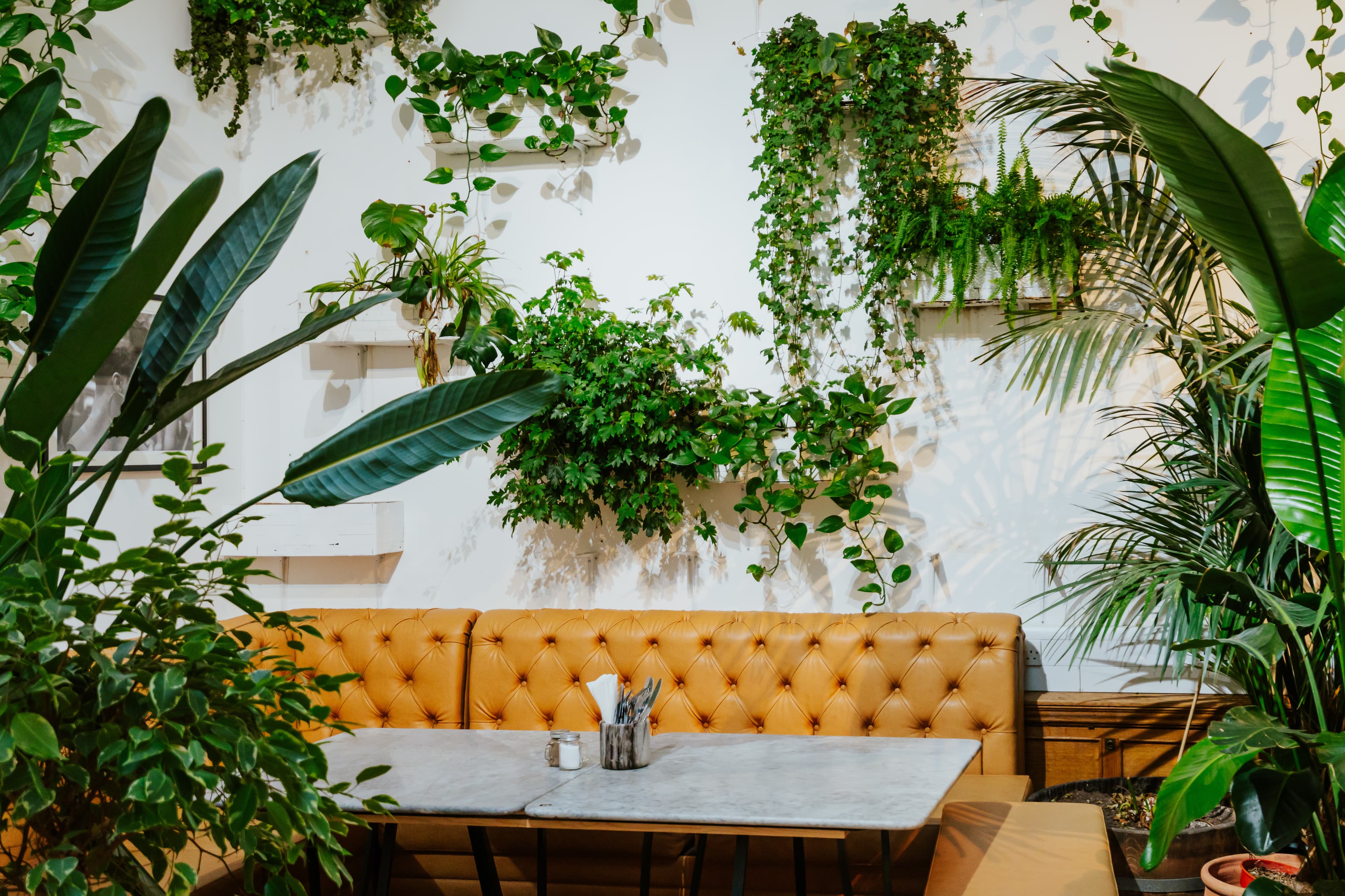 Exclusive Hire, Medicine Restaurant & Gallery photo #2