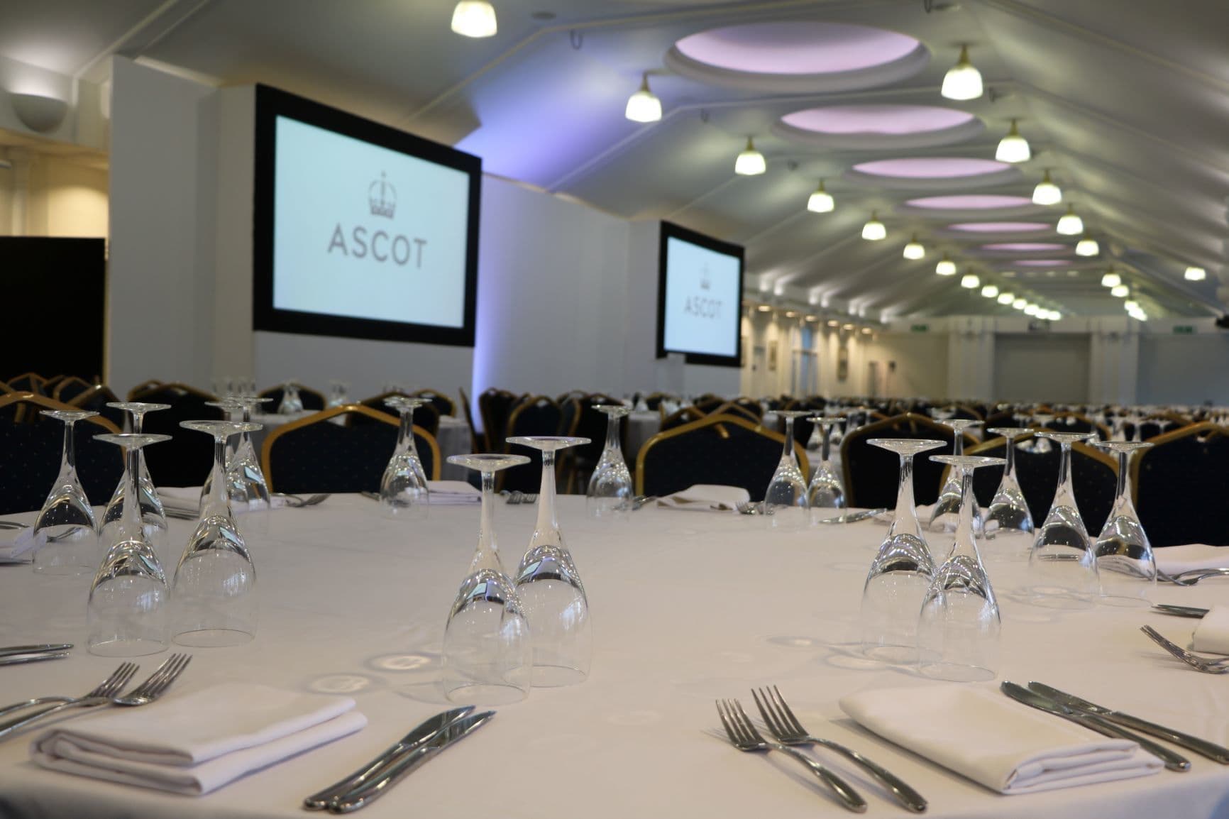 Pavilion Suite, Ascot Racecourse photo #3