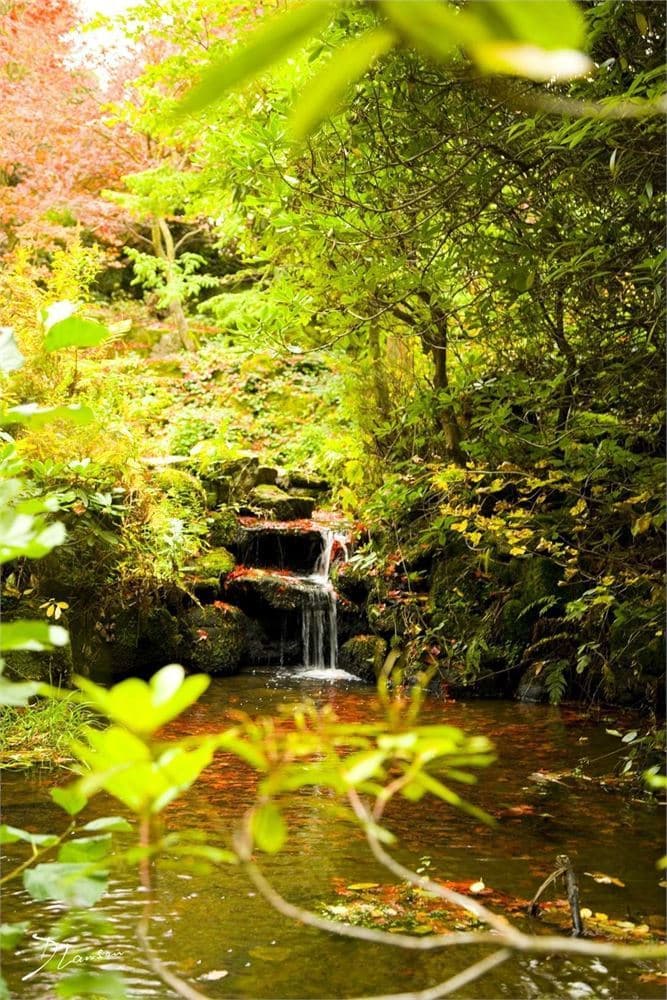 Exclusive Hire, Slaley Hall photo #3