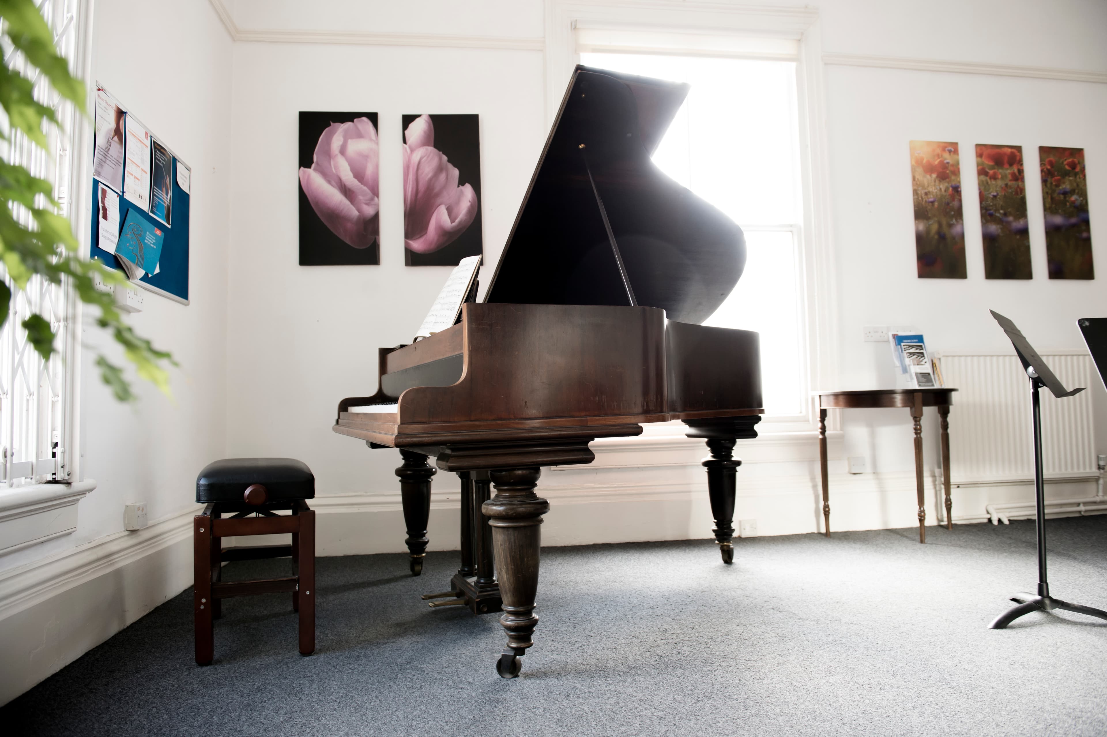 Allegro, Music House photo #1