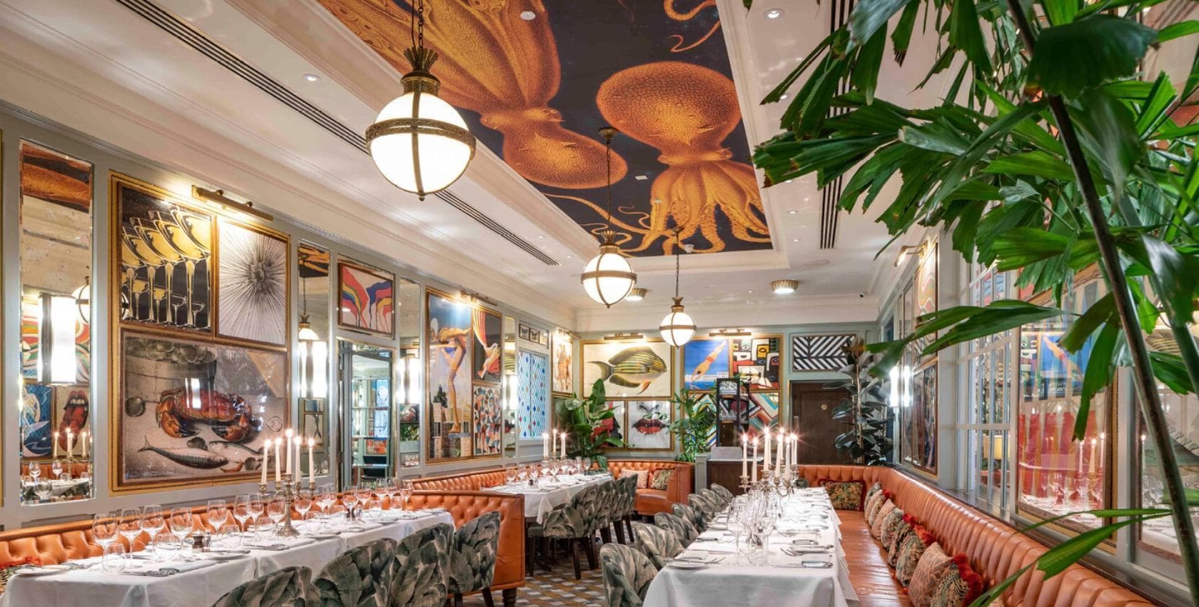 The Octopus Room, The Ivy in The Lanes photo #1