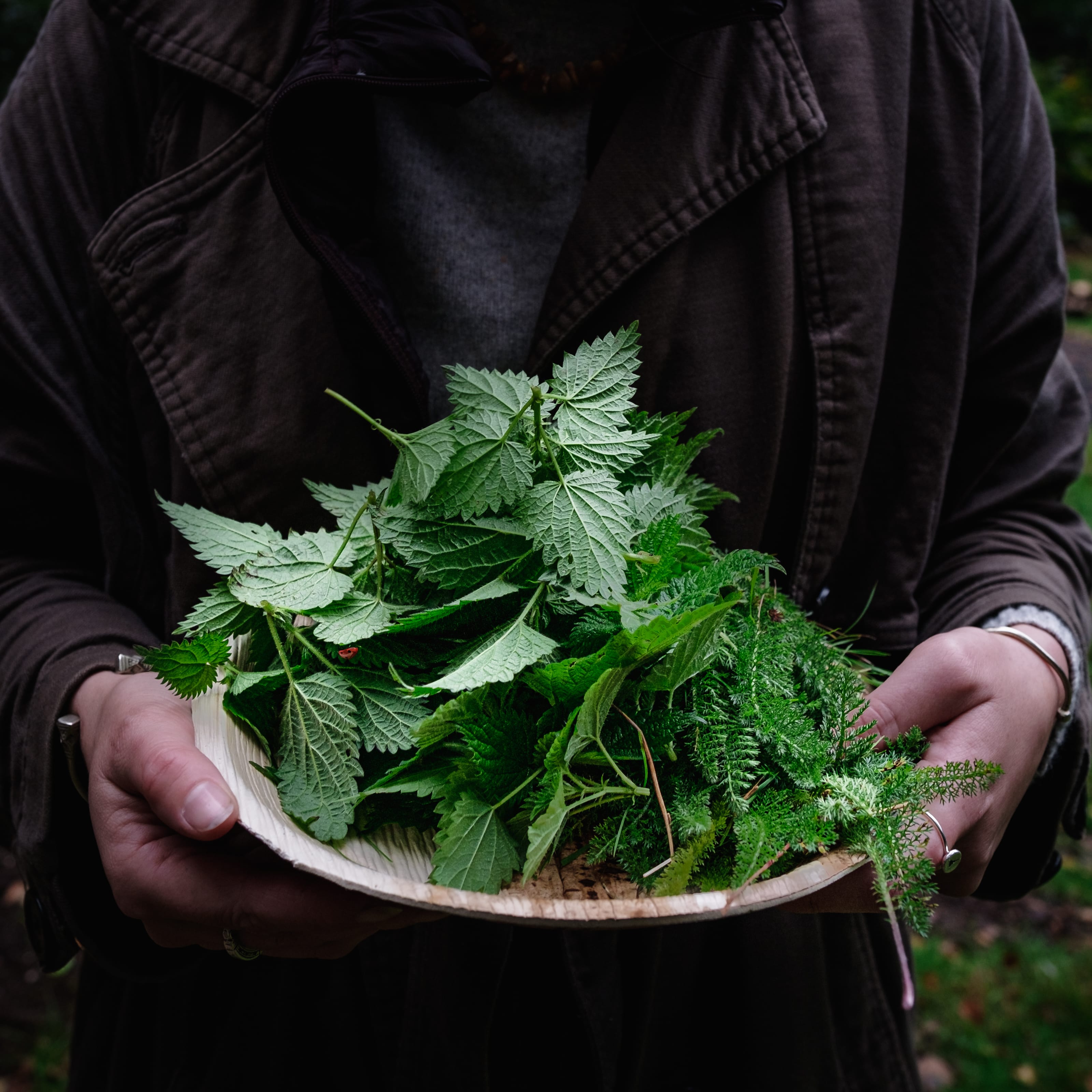 Photo of Nomadic Dinners, Exclusive Hire