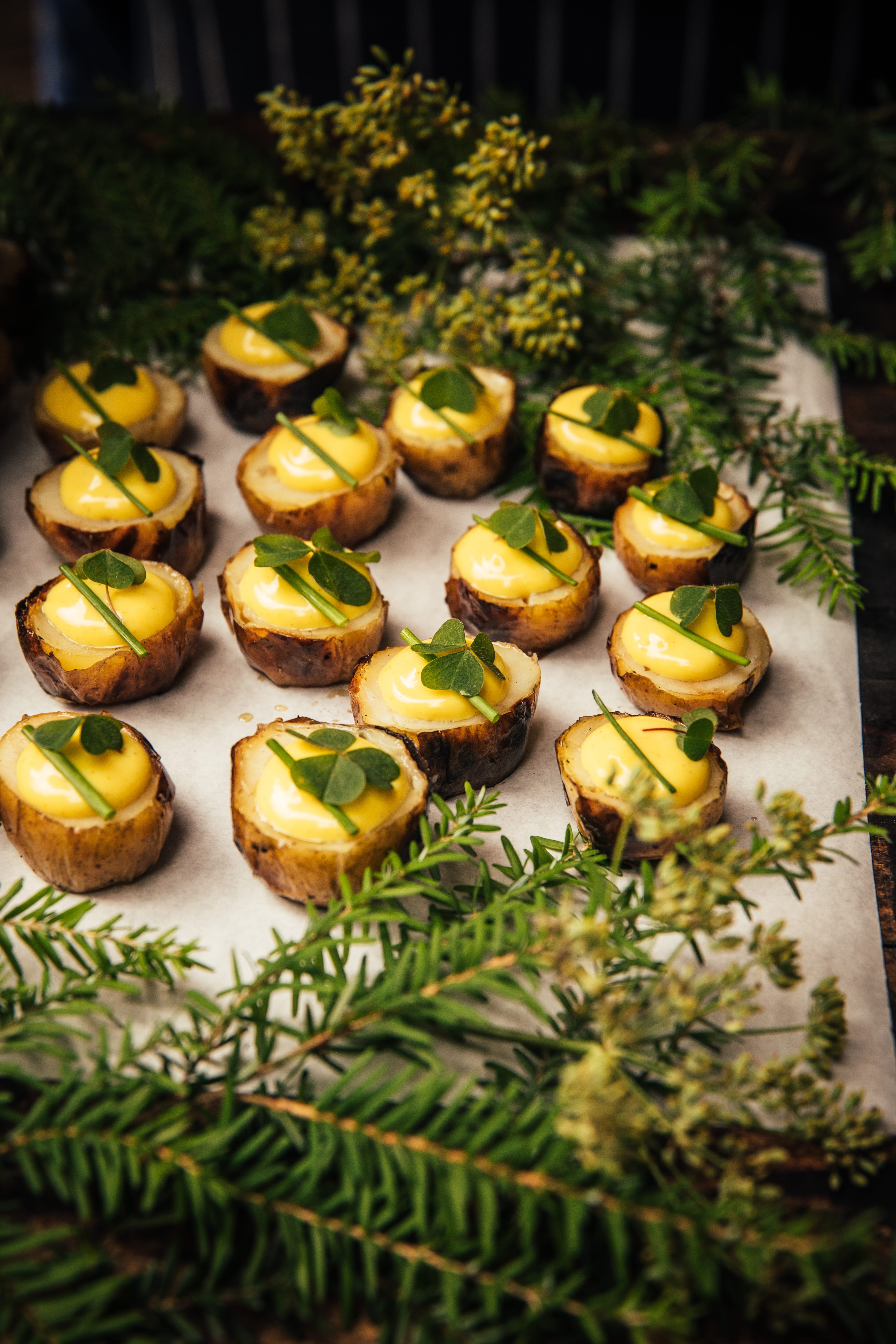 Photo of Nomadic Dinners, Exclusive Hire