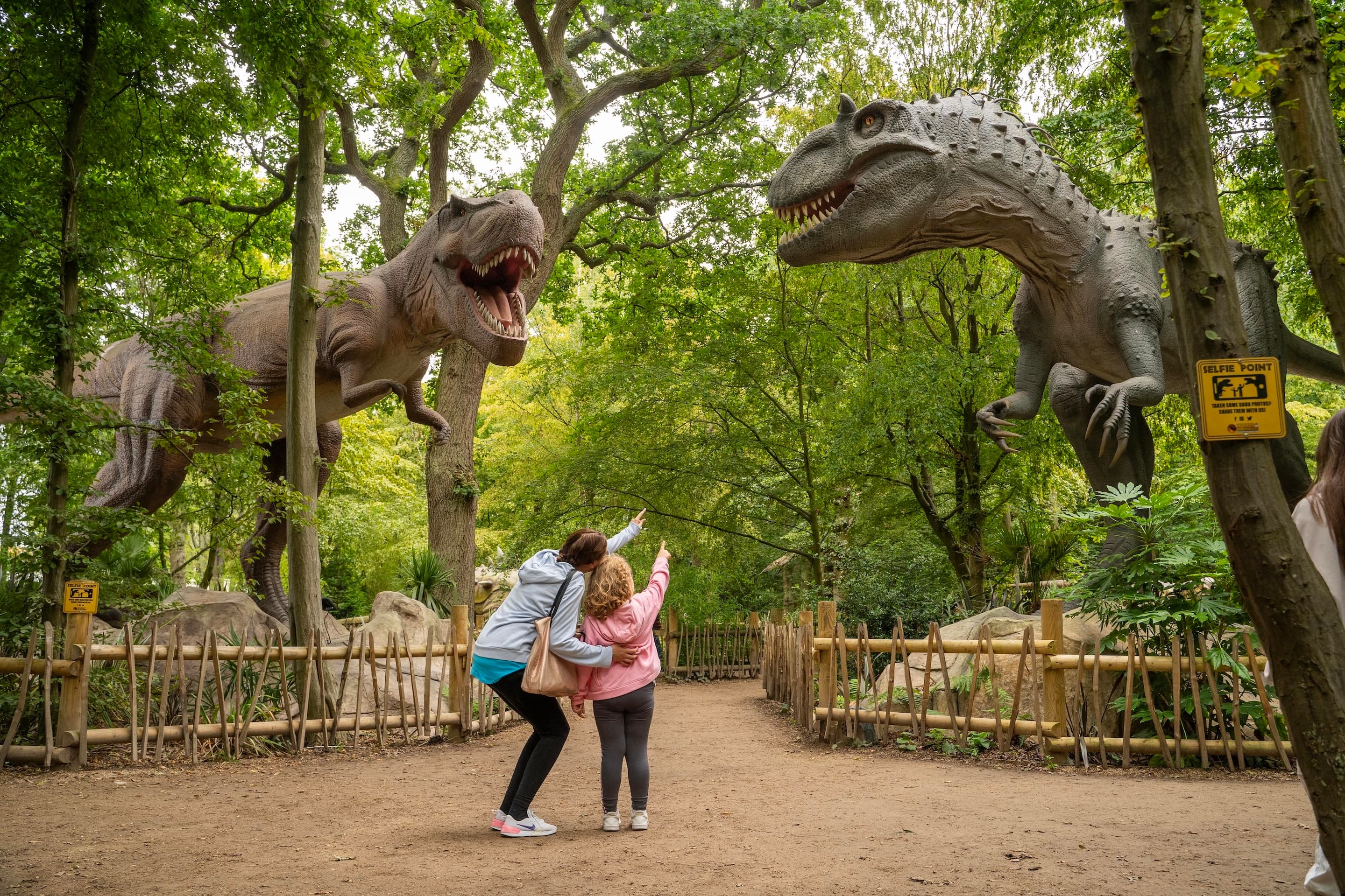 Tiger Venue, Hertfordshire Zoo photo #10