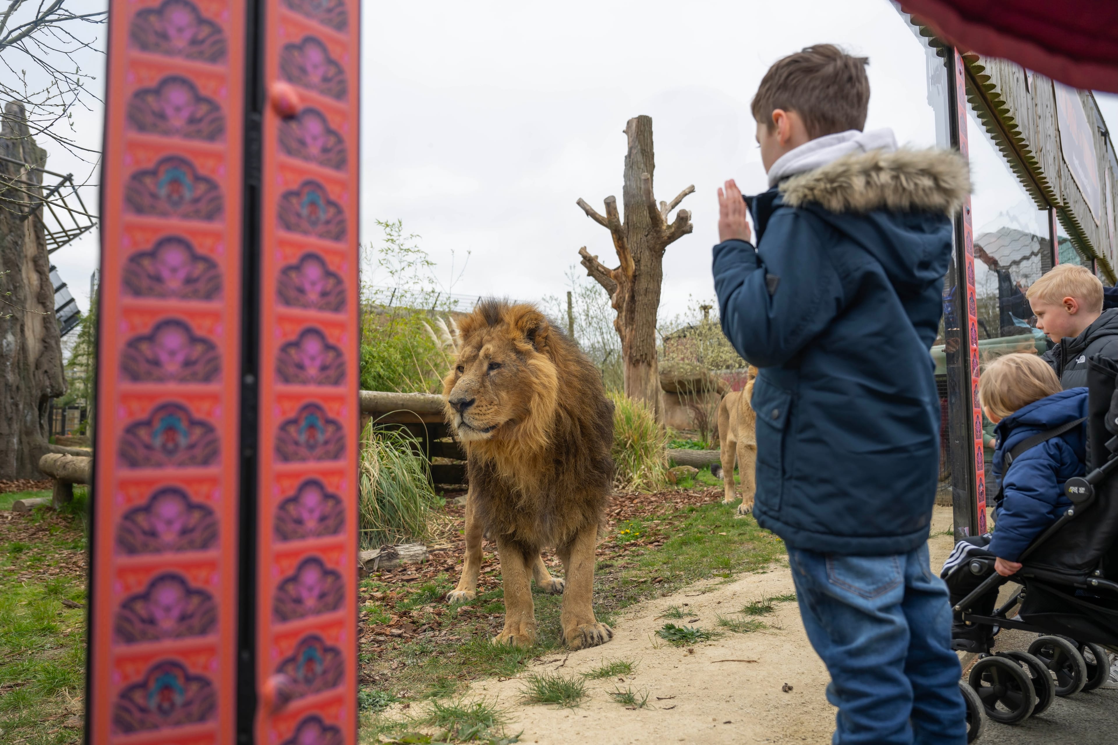 Photo of Hertfordshire Zoo, Sunbear Venue