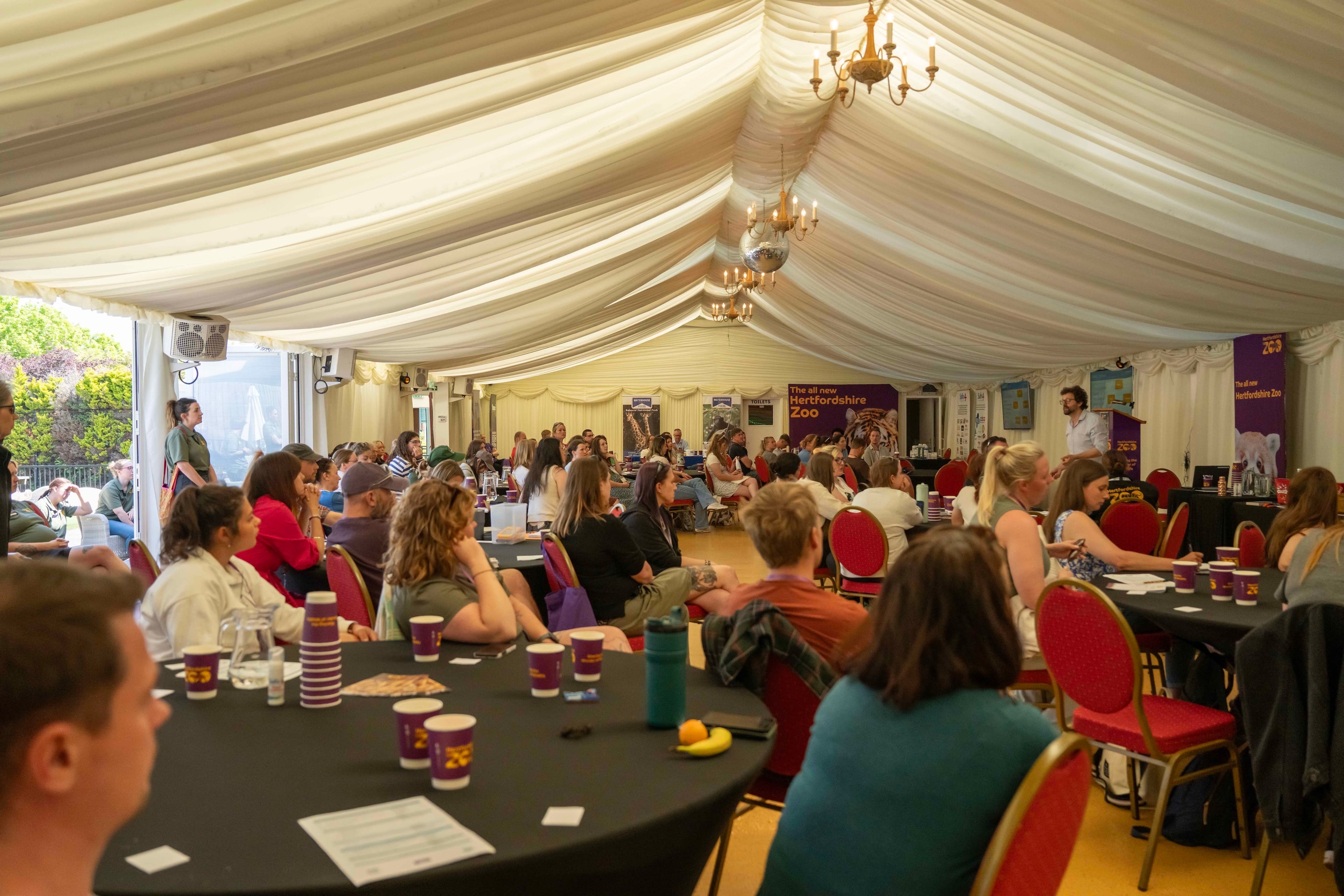 Photo of Hertfordshire Zoo, The Mane Venue
