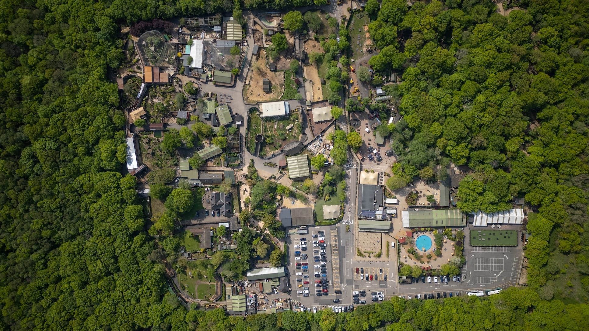 Photo of Hertfordshire Zoo, Sunbear Venue