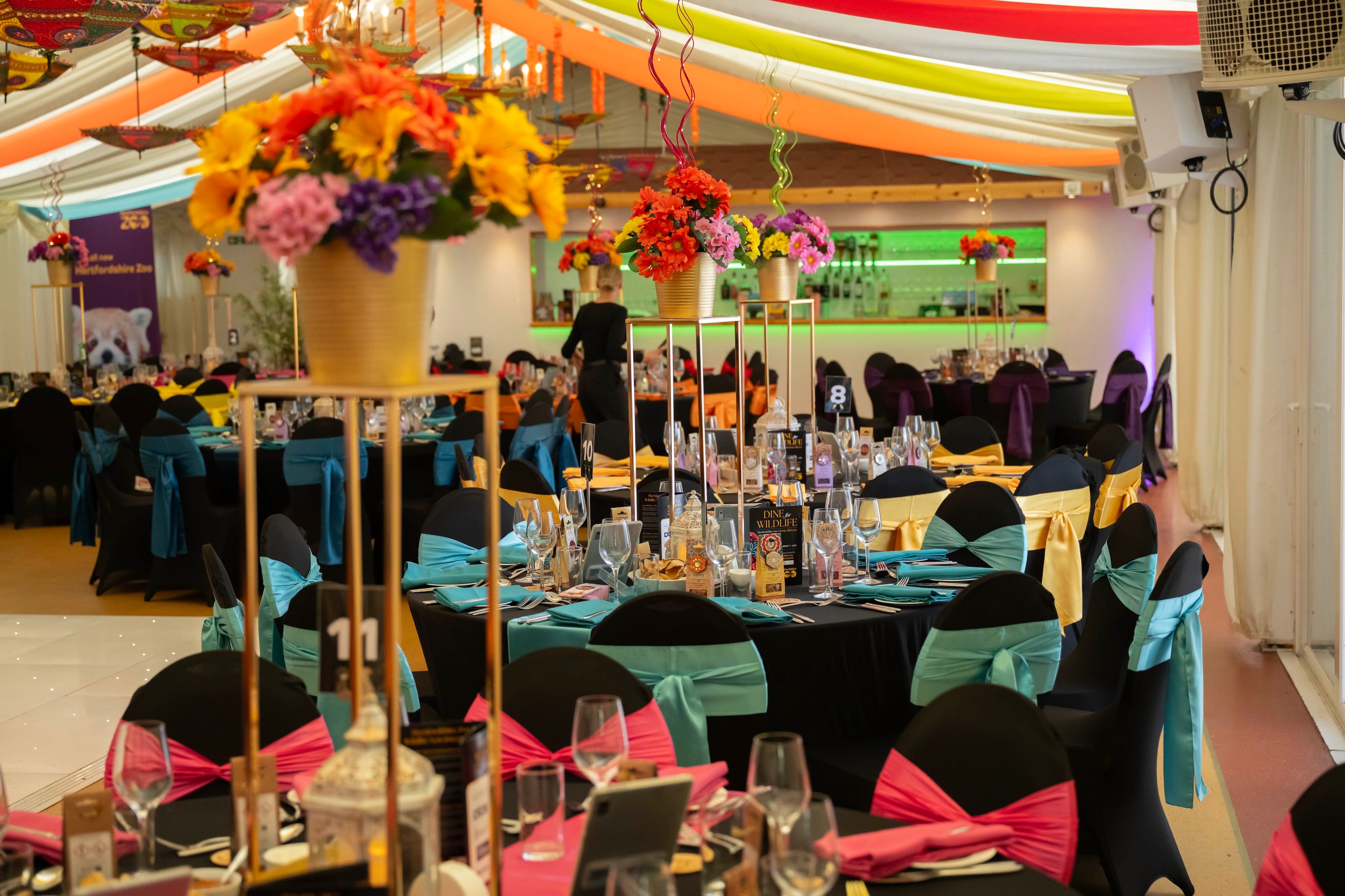 Photo of Hertfordshire Zoo, The Mane Venue