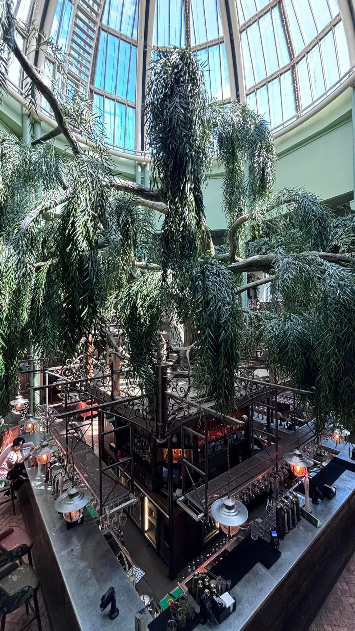 Exclusive Hire, The Botanist Newcastle photo #3