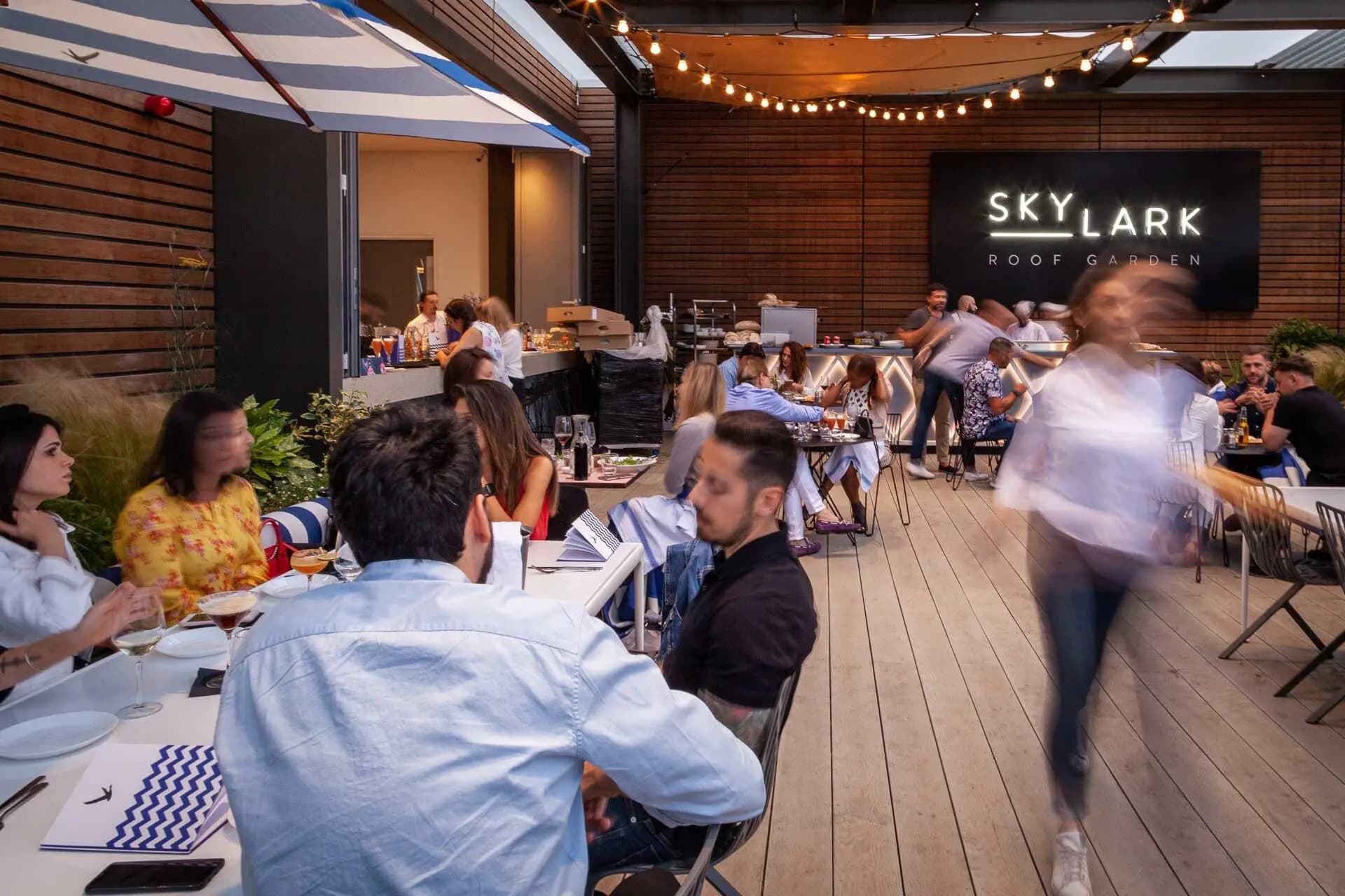 Skylark Roof Garden, Skylark Roof Garden photo #13