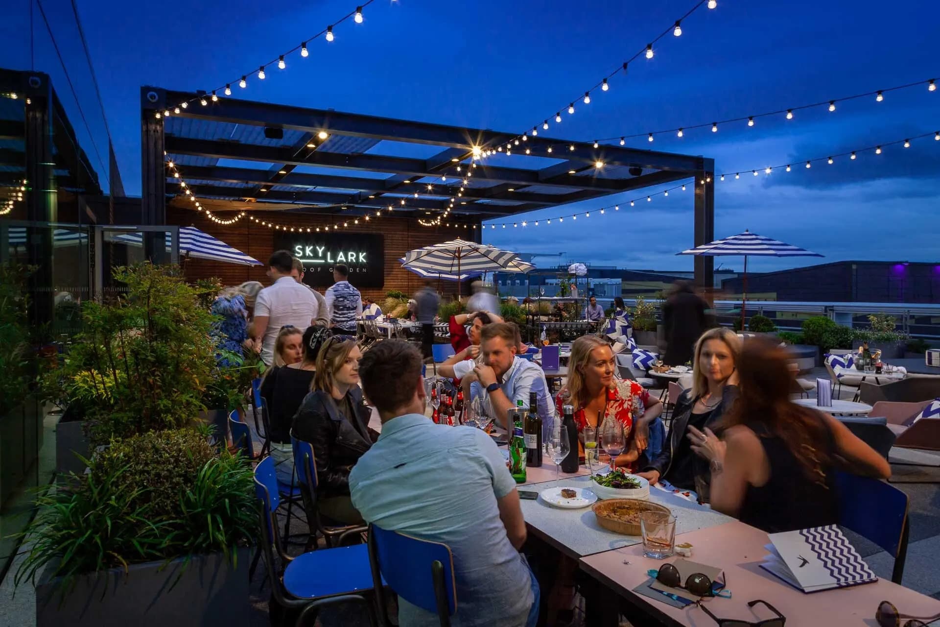 Skylark Roof Garden, Skylark Roof Garden photo #5