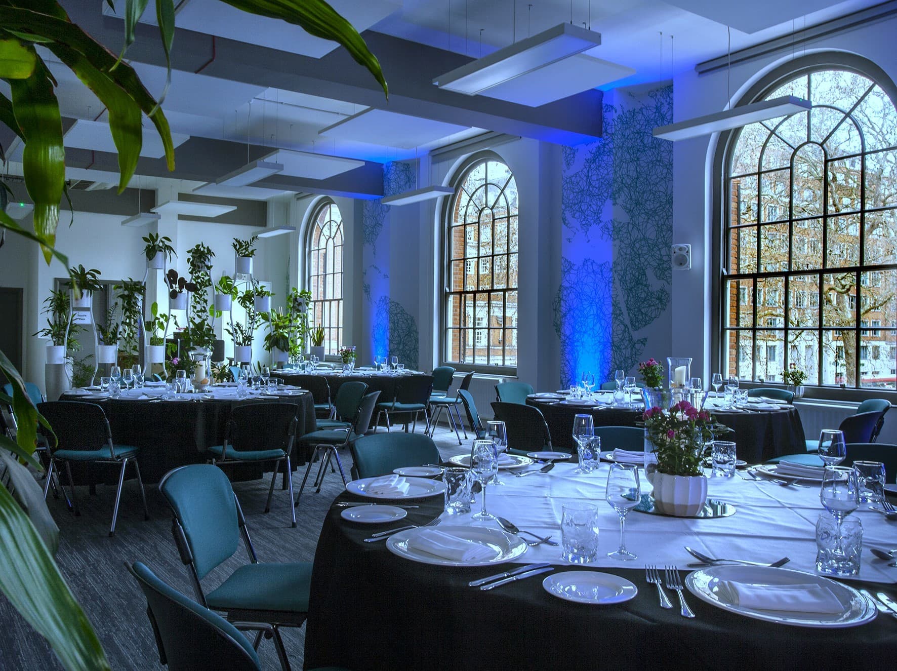 Sakura Café, Woburn House photo #8