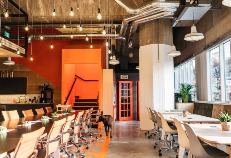 The Grounds, PLATF9RM photo #10