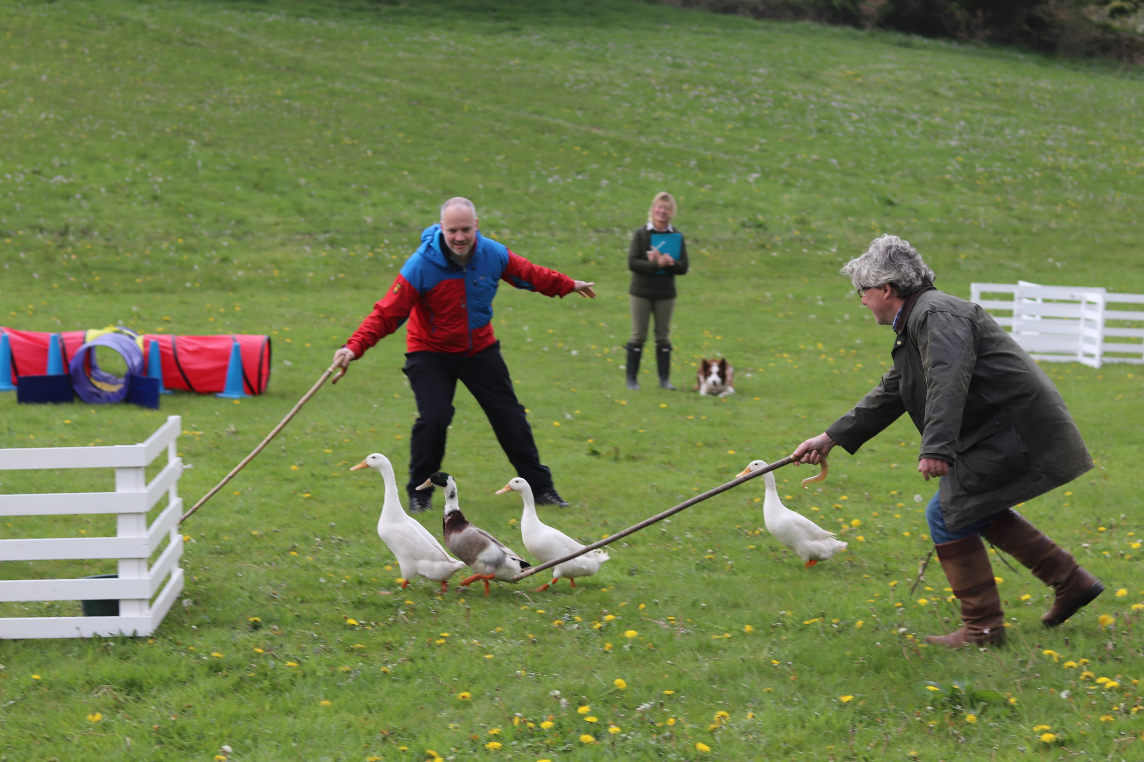 Exclusive Hire, Howgills House, Sedbergh photo #49