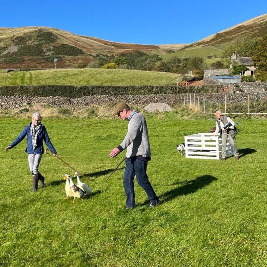 Exclusive Hire, Howgills House, Sedbergh photo #9
