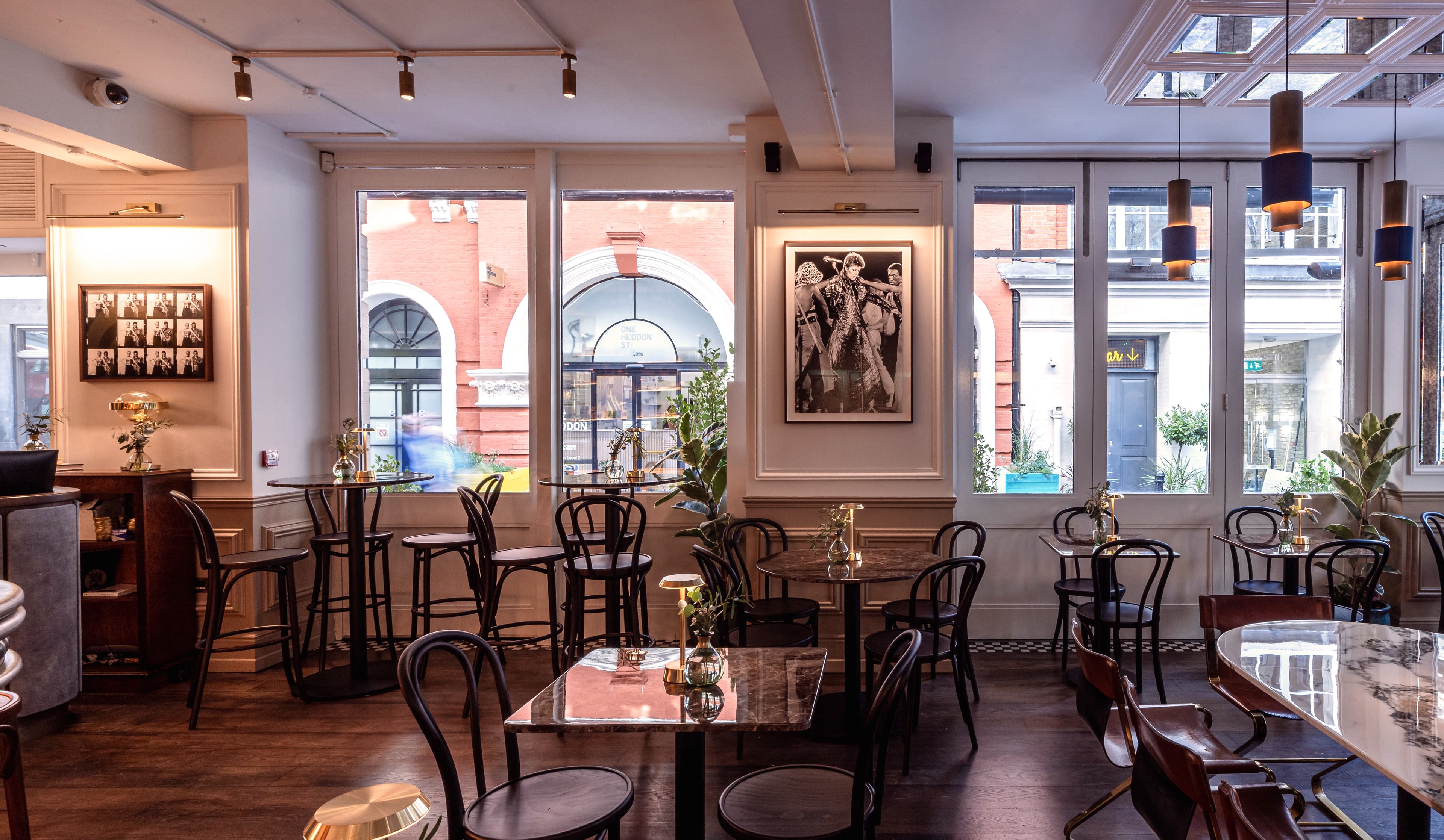 Ziggy Green, Ziggy Green photo #2