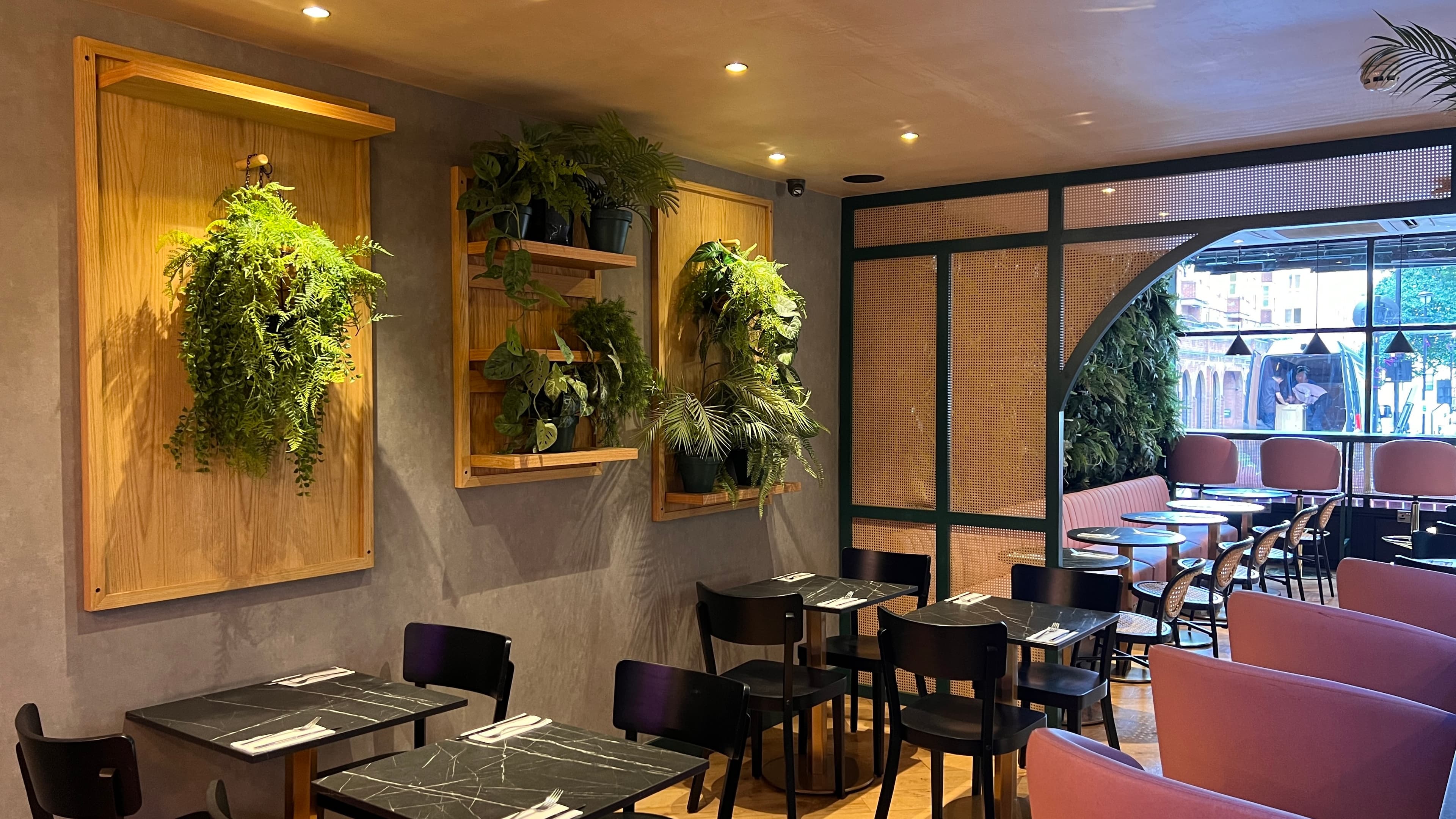 Back Area, My Place Cafe photo #3