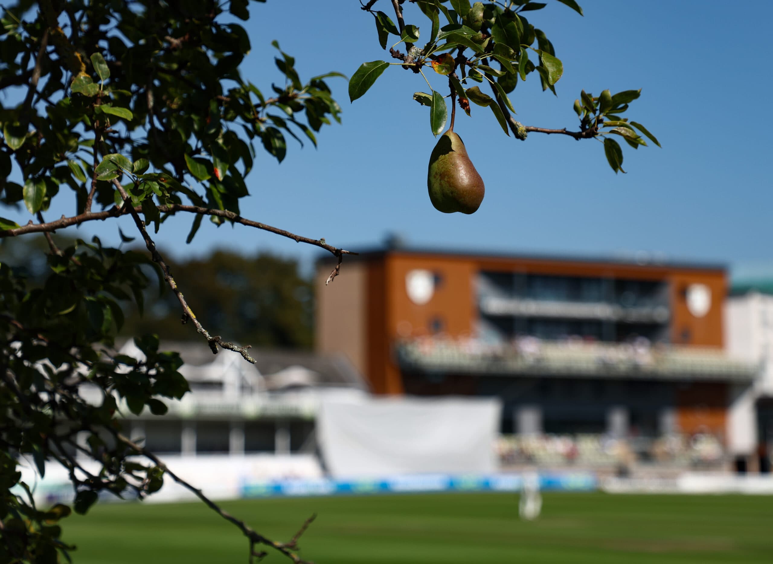 Severn Suite, Worcestershire County Cricket Club photo #3
