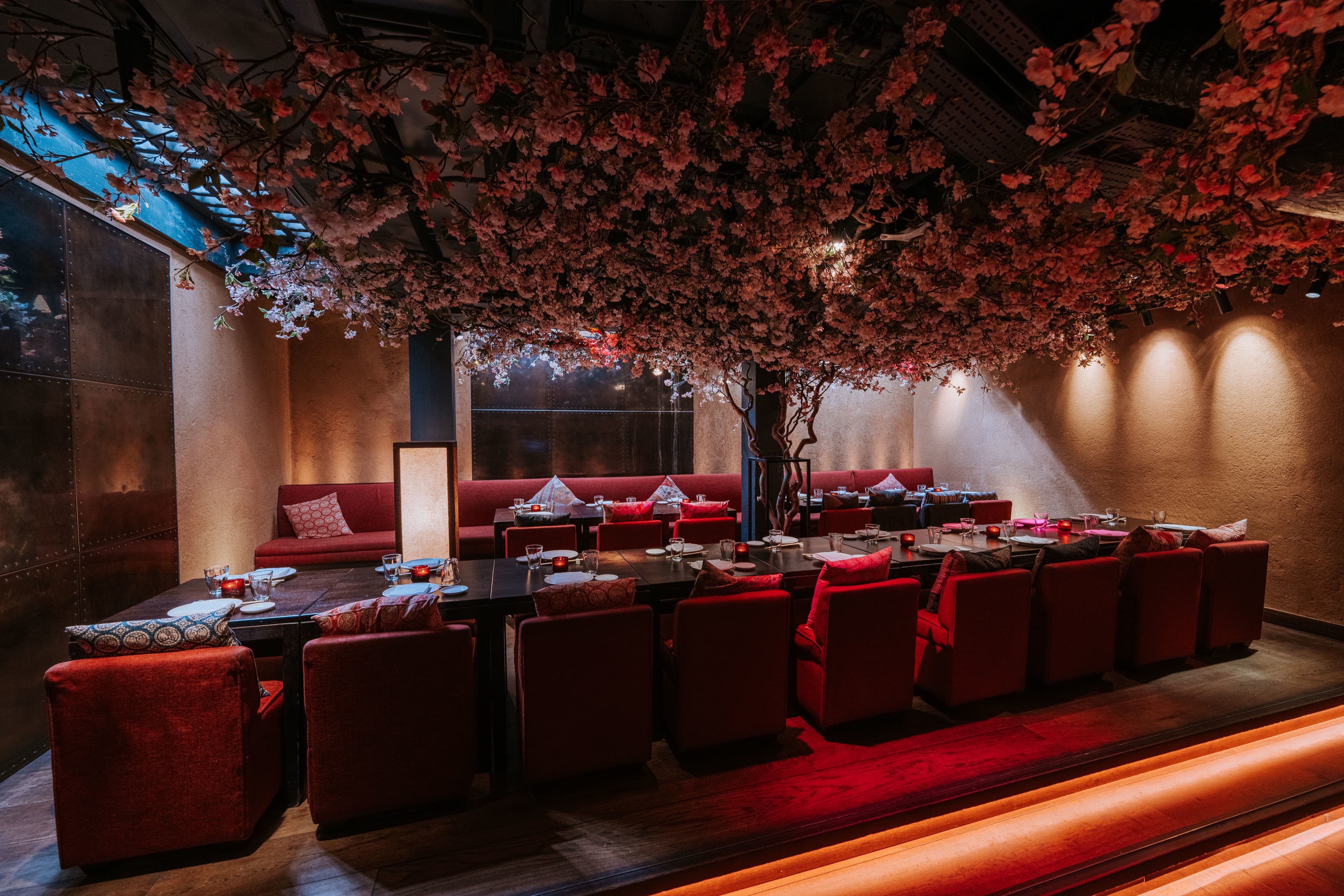 Shochu Lounge, Roka Charlotte Street photo #1