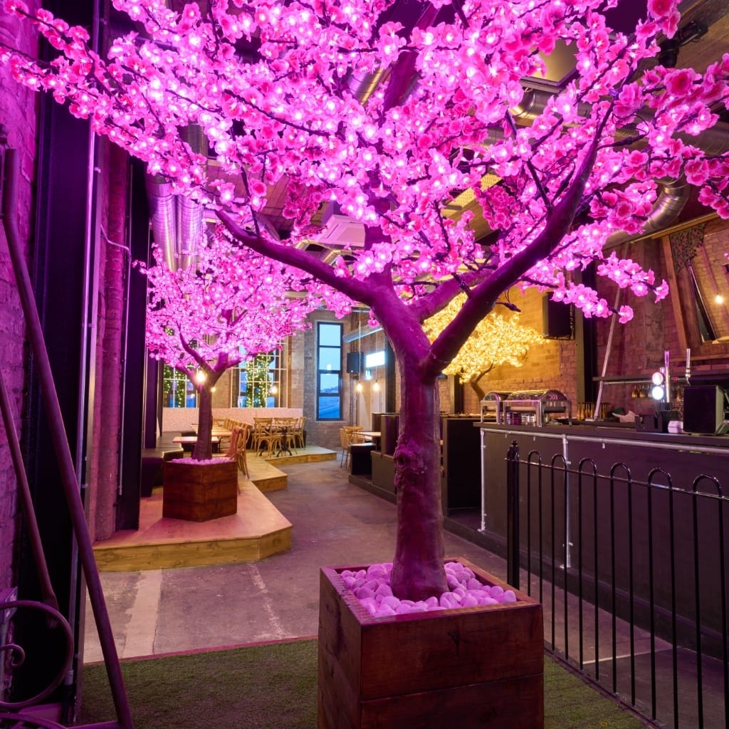 Photo of Blackstock Market, Lily’s Lounge