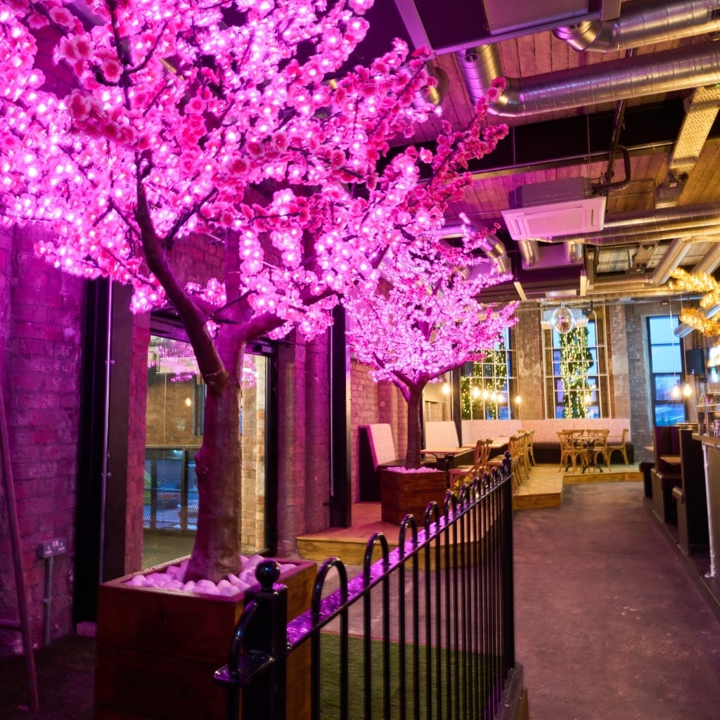 Photo of Blackstock Market, Lily’s Lounge