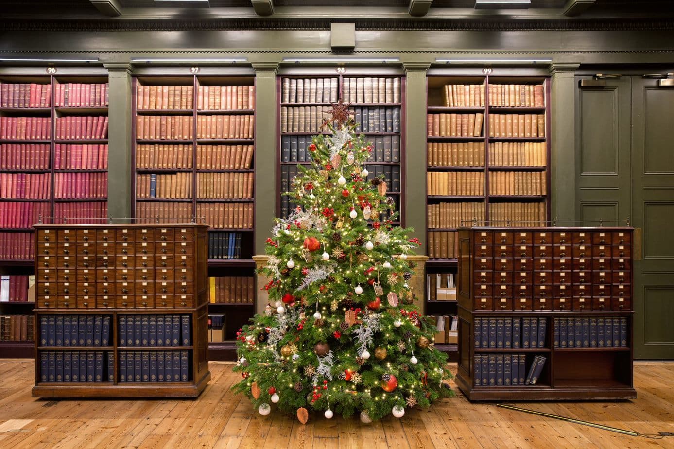 The Library, The View photo #12