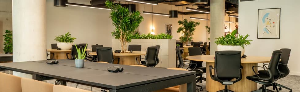 Globe, Flex @ Tide photo #3