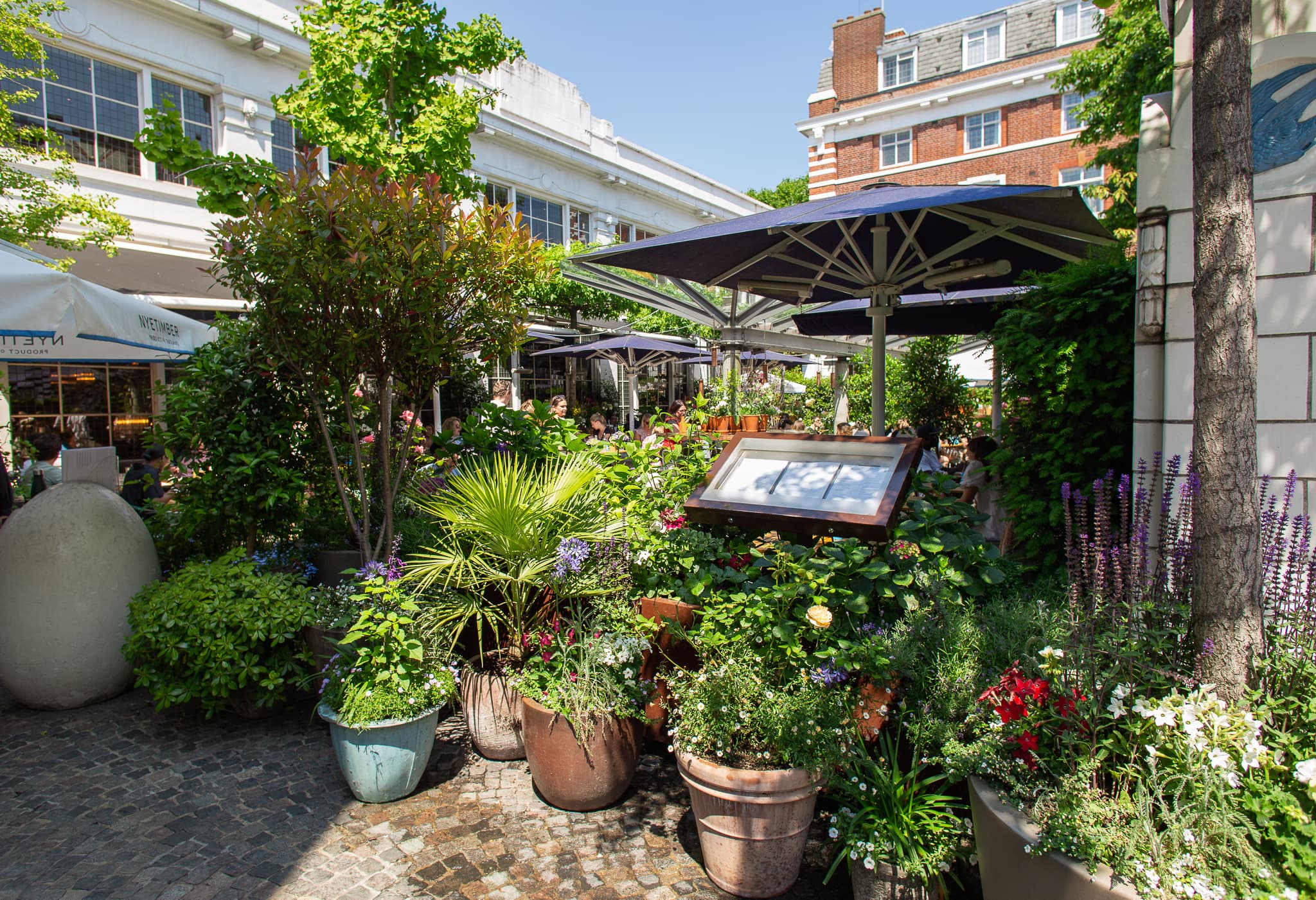 The Courtyard, Bluebird Chelsea photo #15