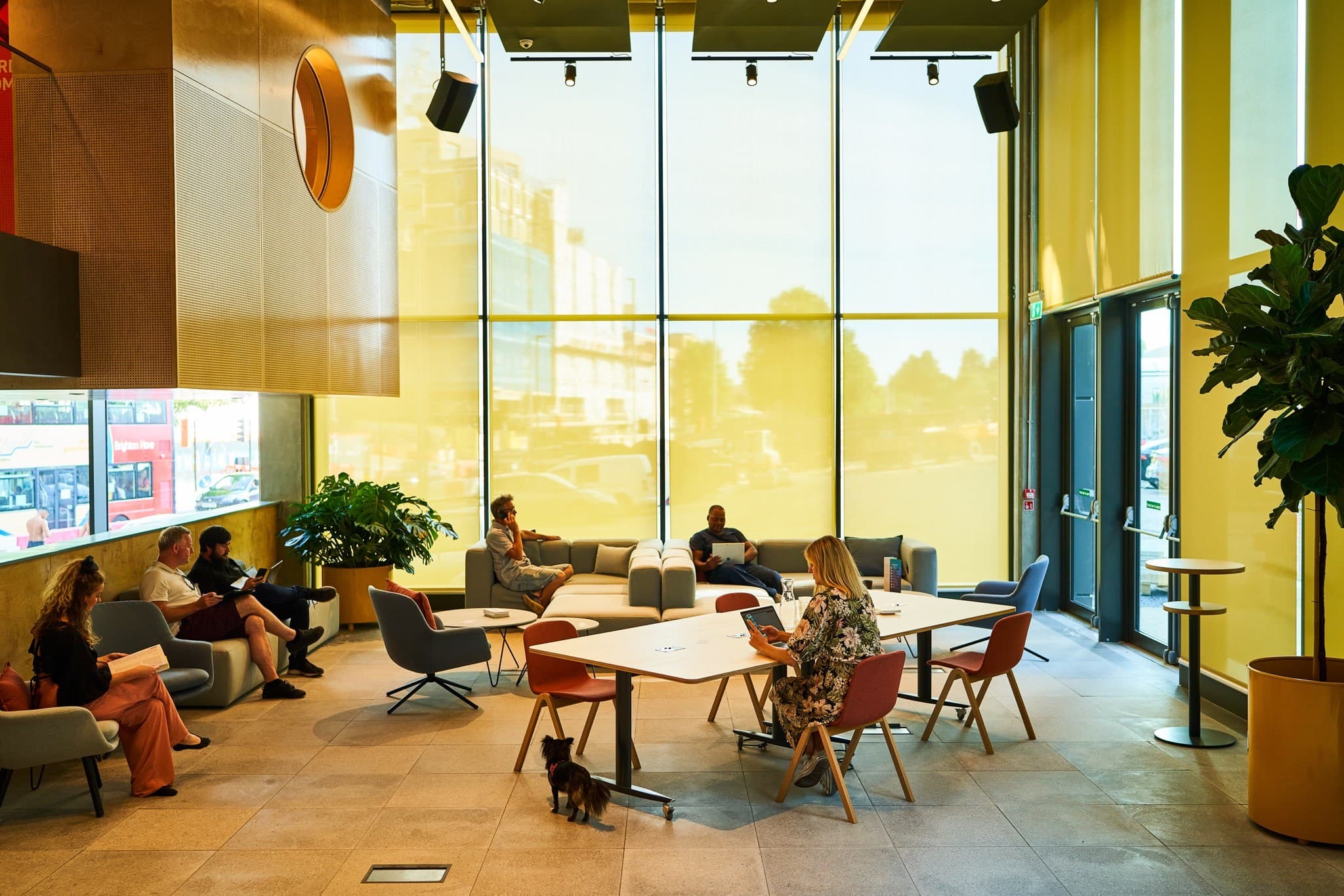 Launch Space, Plus X Brighton photo #2