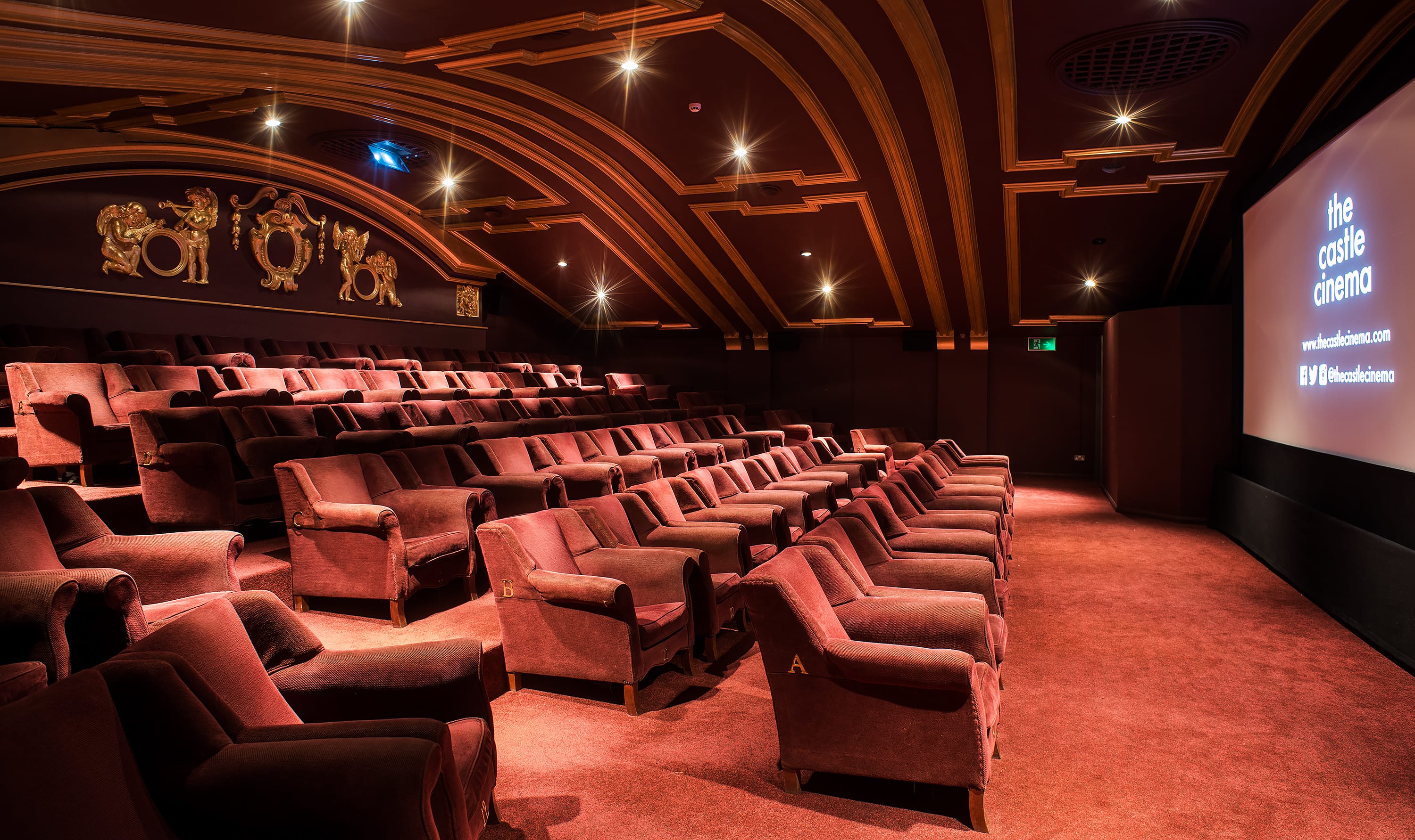 Photo of Castle Cinema, Screen 1
