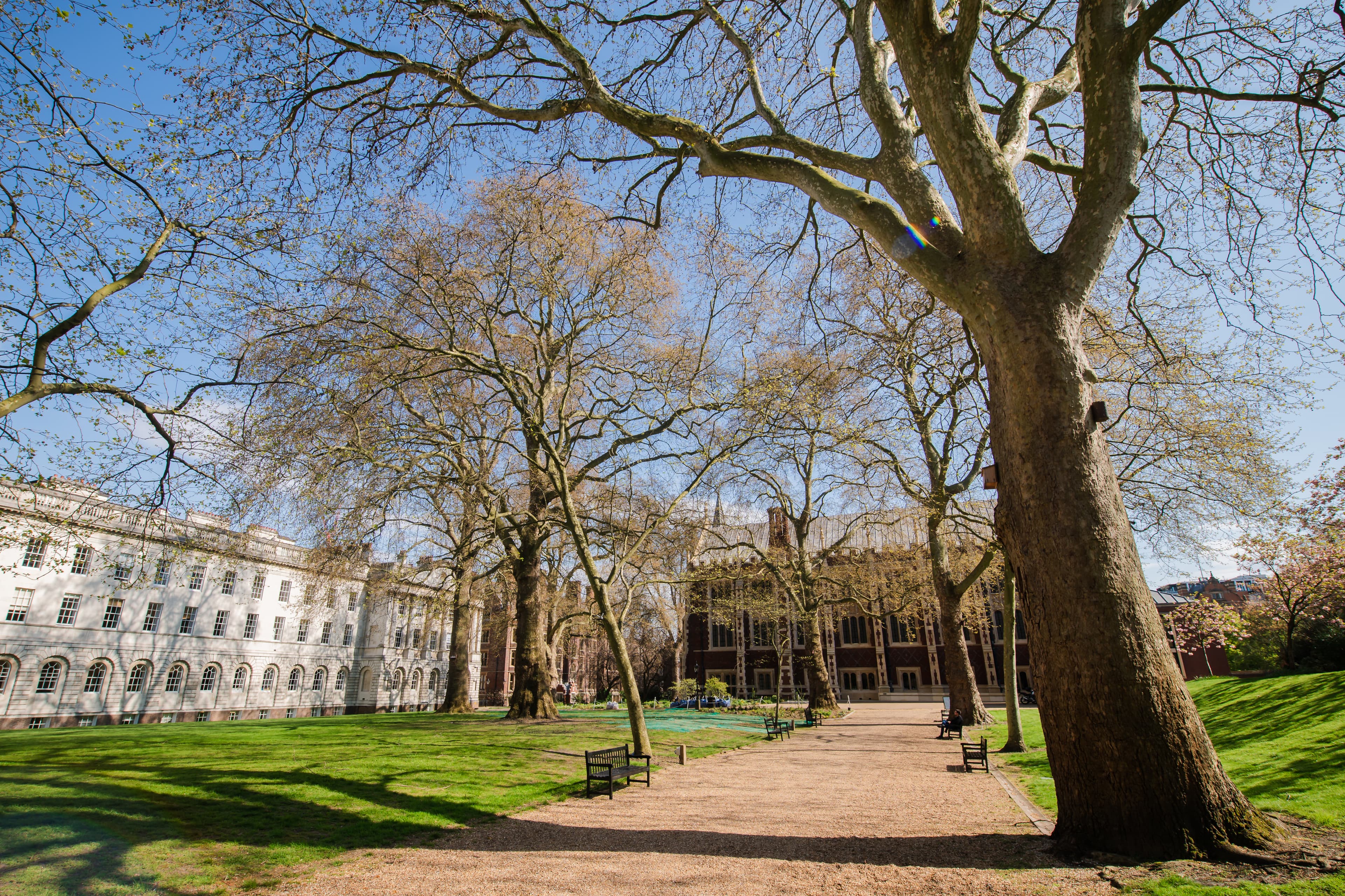 North Lawn, Honourable Society Of Lincoln's Inn photo #16
