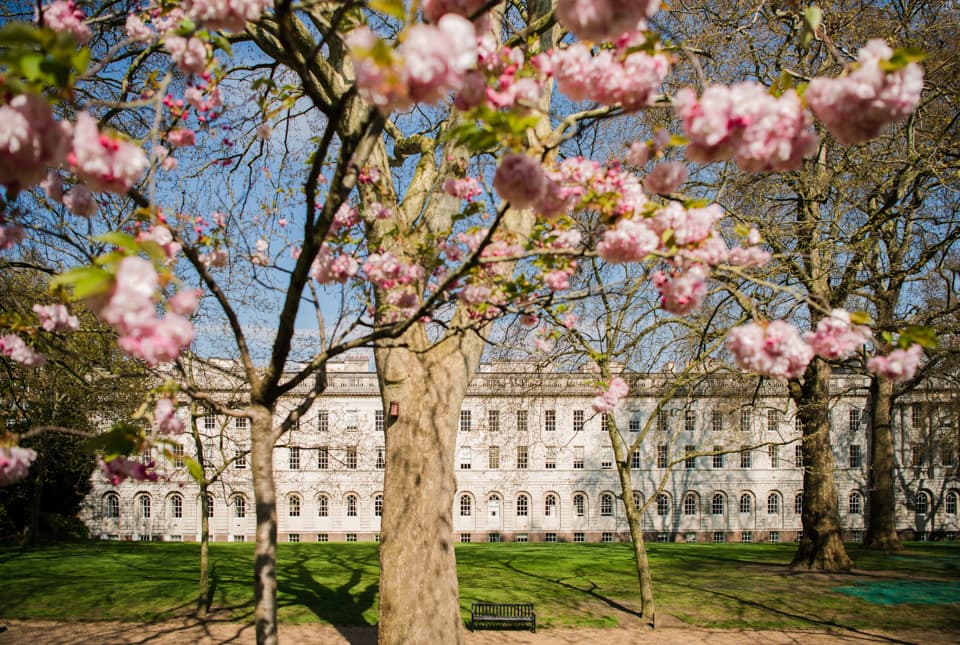 North Lawn, Honourable Society Of Lincoln's Inn photo #39