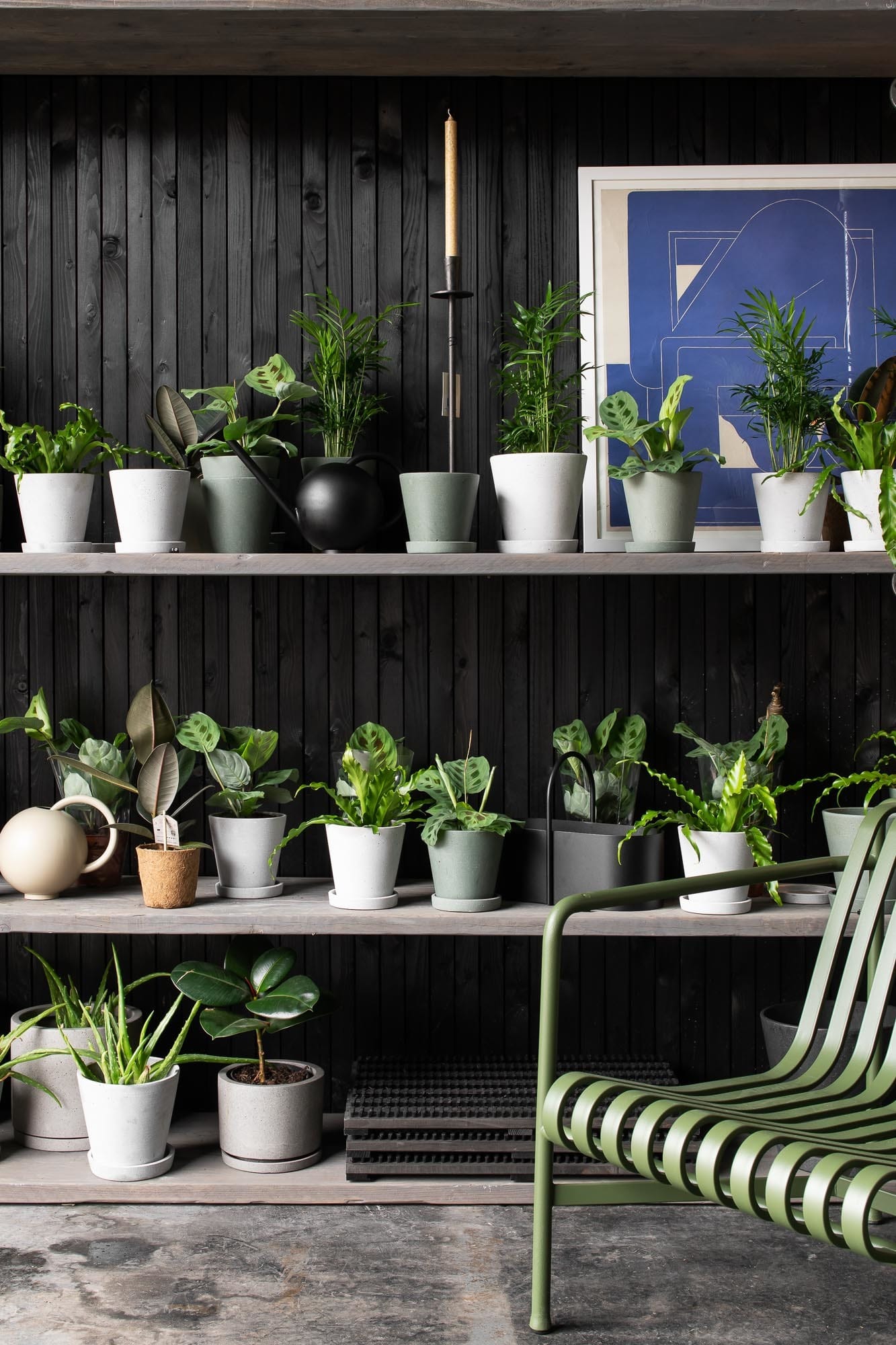 Photo of Minima, The Winter Garden
